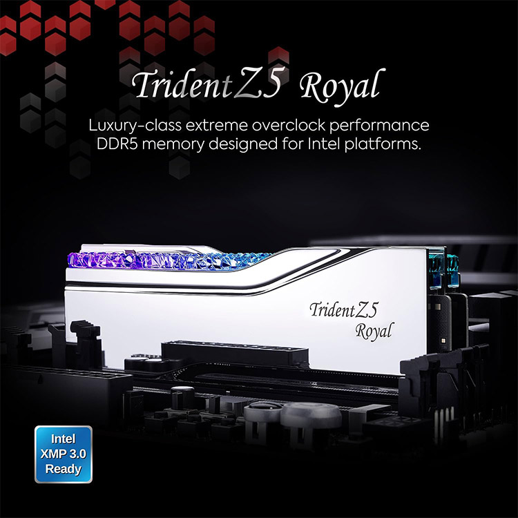 خرید G.Skill Trident Z5 Royal 64GB DDR5 RAM - Dual Stick - 6400MHz - CL32- Silver